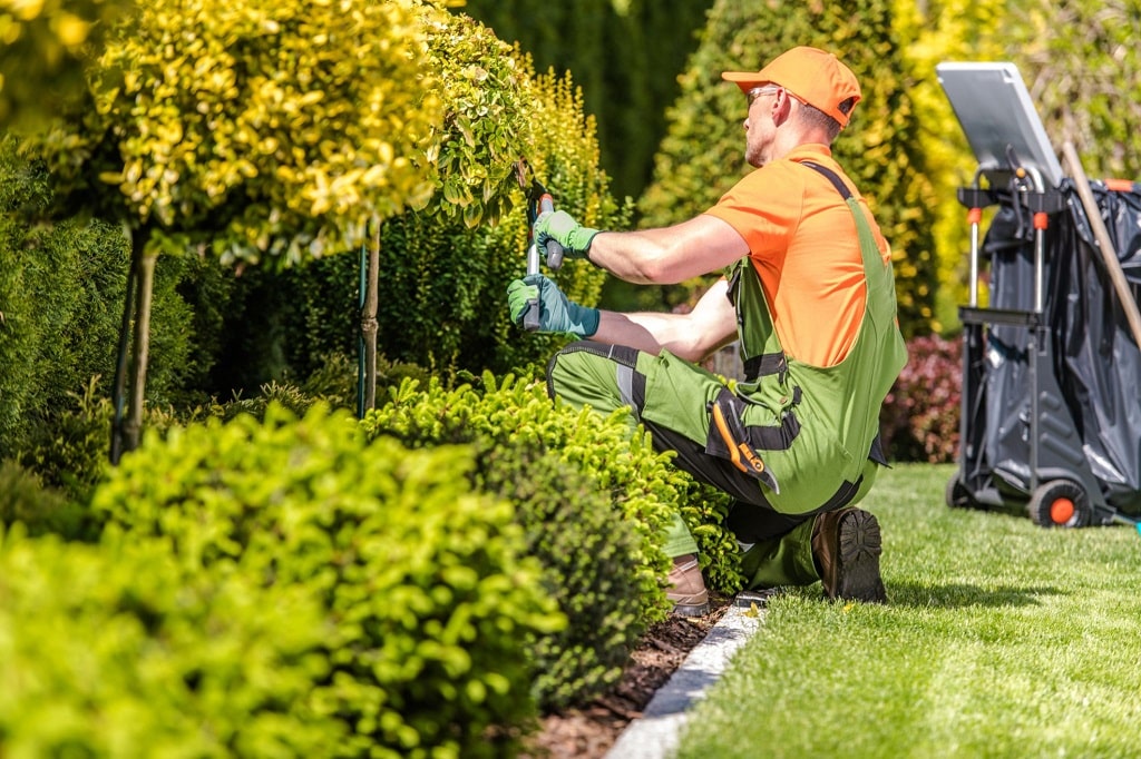 landscaping-services-richmond-hill